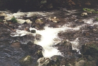 tumbling stream