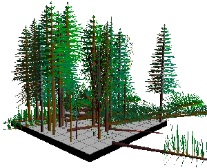 timber sale visualization