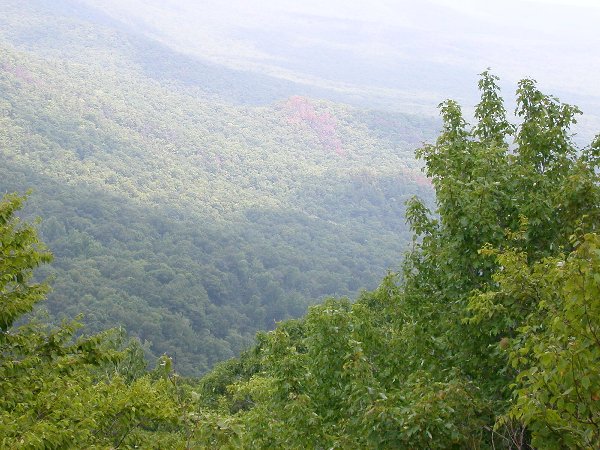 view from Warspur Trail, Giles County