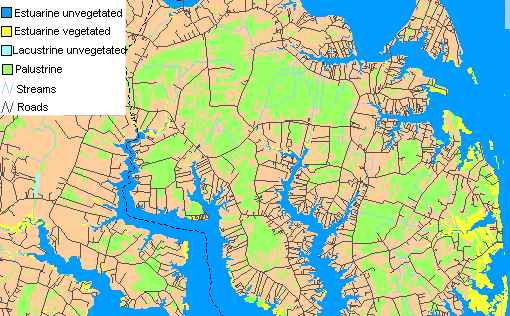 Mathews County wetlands