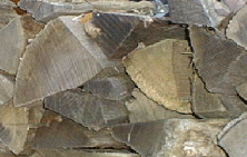 woodpile