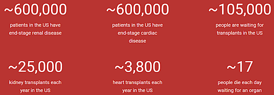 the demand for transplants exceeded the supply, and Revivicor sought a new way to increase supply