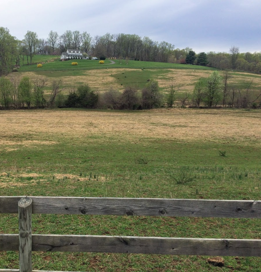 eastern Loudoun County has been developed with suburban housing, while western Loudoun County retains large lots with pastures for horses