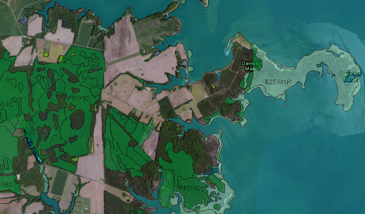 Federal laws limit the development potential of land mapped as wetlands near the Chesapeake Bay in Northumberland County, including Dameron Marsh