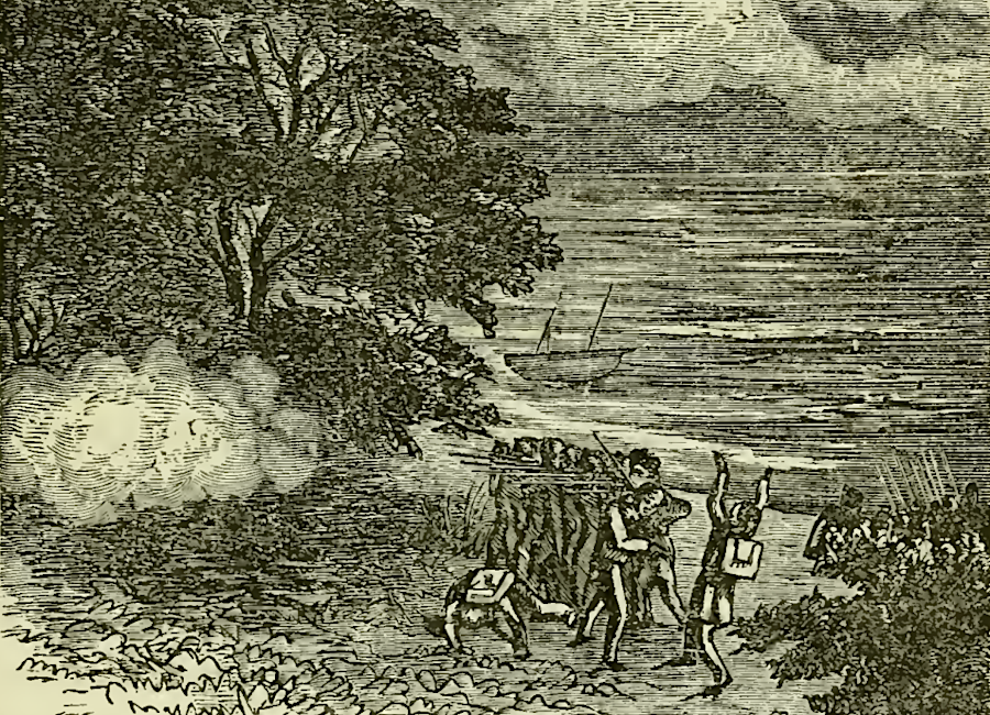 Virginia militia occassionally fought against British landing parties that raided along Tidewater rivers