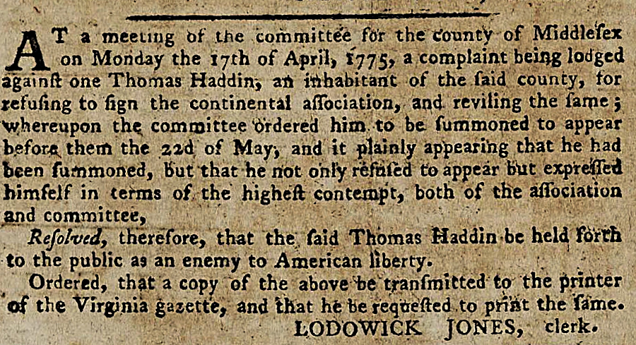 loyalists were subjected to social and economic pressure by Committees of Safety in each county