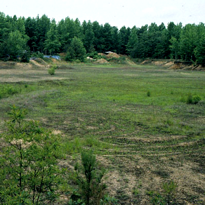 excavations at a former sand-mining site at Cactus Hill (Sussex County) documented that the first people in Virginia arrived before Clovis technology developed