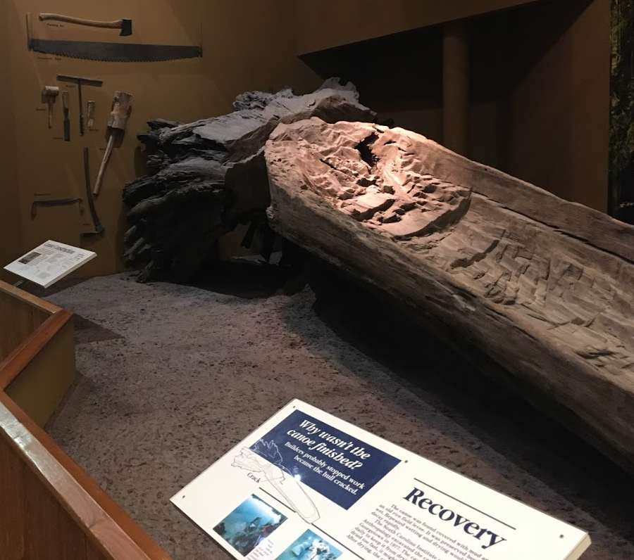 the South Carolina State Museum exhibits a canoe that was almost completely carved from a fallen tree, then abandoned because the wood cracked