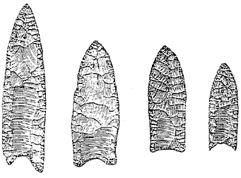 Clovis points, with distinctive flute of stone chipped out of the center at the base, were the dominant technology 13,250 and 12,800 years BP (Before Present)