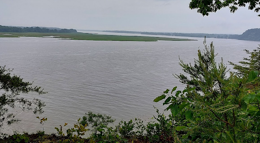 Beverly Marsh, viewed from cliff just south of Carter's Wharf