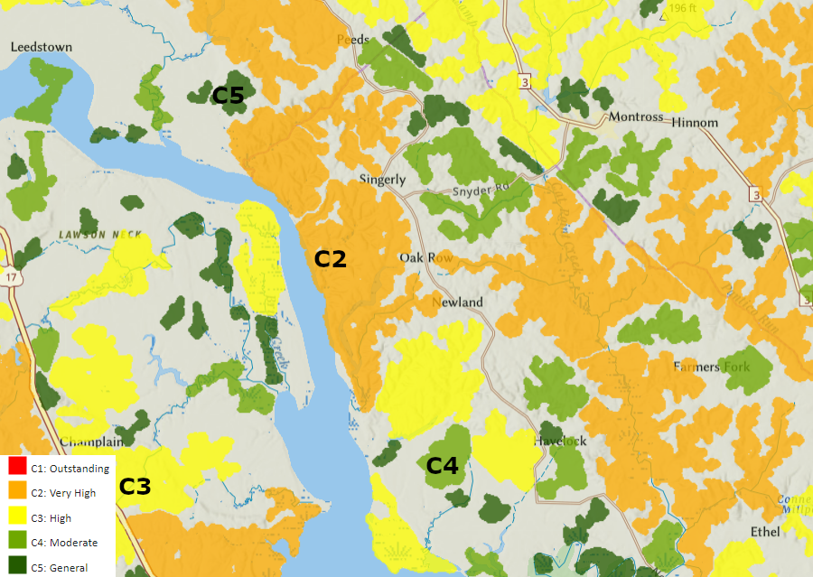 the area around Fones Cliffs is mapped as a C2 (Very High) ecological core