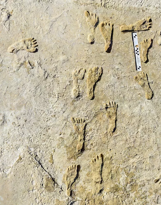 fossilized footprints suggest Paleo-Indians were in what is now New Mexico about 23,000 years ago