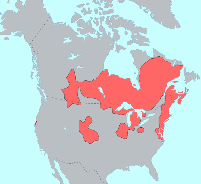 Algonquian-speaking groups (in red) were common in North America, and dominated Tidewater Virginia