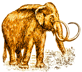 mammoth, with curved tusks