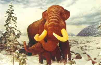 mastodon, with straighter tusks