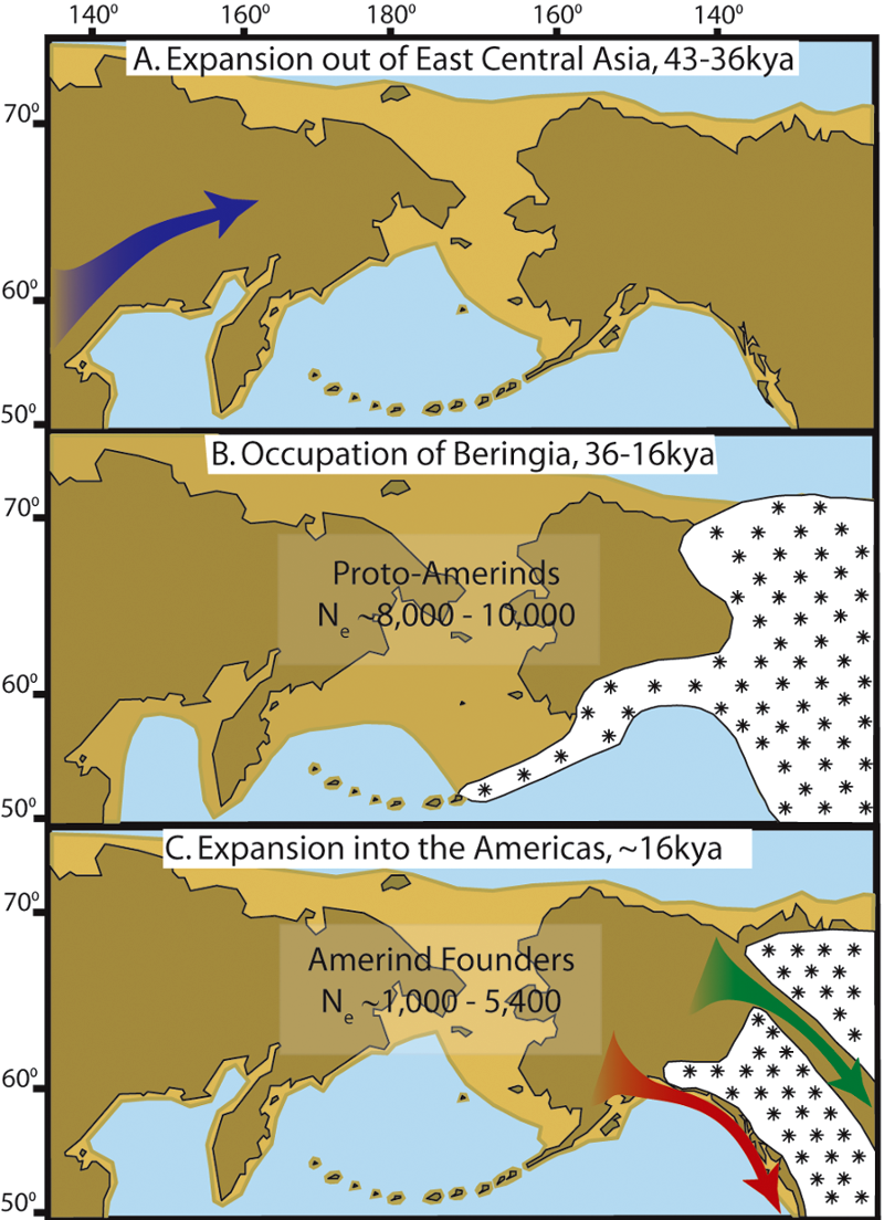 people from Beringea first migrated into the interior of North America along the Pacific shoreline (red arrow), and later through a gap between ice sheets (green arrow)