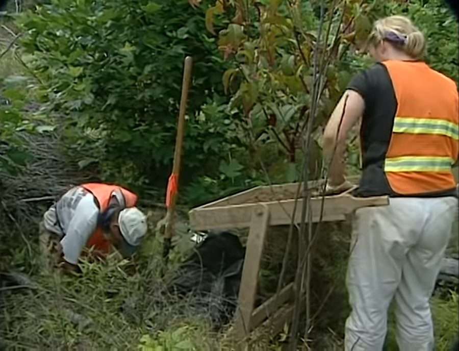 archeologists search for stone and pottery evidence of early Virginians by excavating small sample locations based on a mathematical grid (shovel testing)