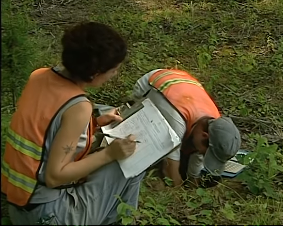 meticulous documentation is as important as finding artifacts, to identify patterns of living in the past