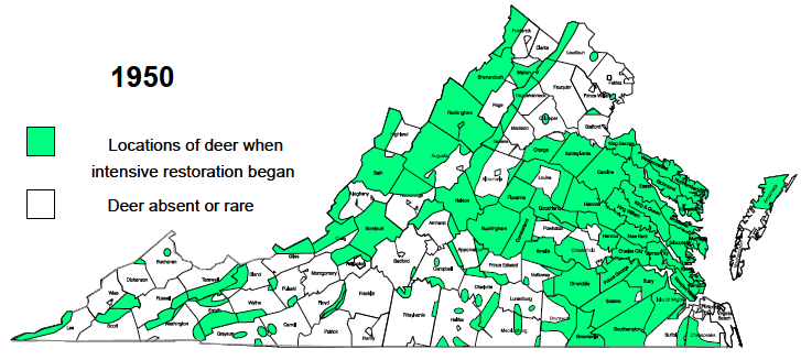 Virginia deer distribution in 1950 (estimated 150,000 deer)