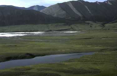 treeless plain, now at Arctic National Wildlife Refuge... but once common in Virginia?