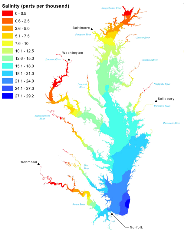 female crabs in the Chesapeake Bay migrate south to overwinter where salinity reaches at least 26 parts per 1,000 - eggs are fertilized and released there, so even crabs harvested in the Maryland portion of the bay are native-born Virginians