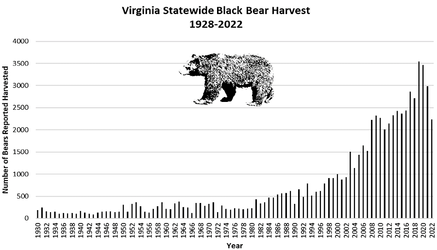 hunting is the primary management tool used to keep the black bear population in balance with the available habitat