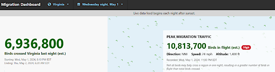 during migration season, millions of birds fly across Virginia at night