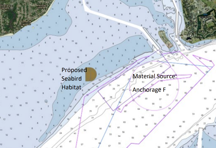 a new island for the seabird colony was planned near the City of Hampton
