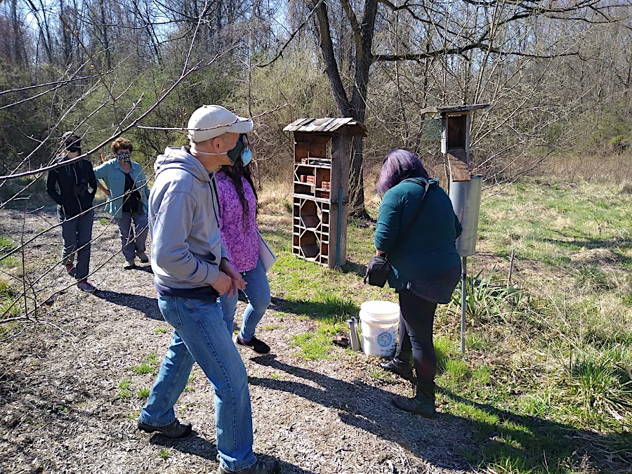 even during the COVID-19 pandemic in Spring of 2021, volunteers checked bluebird nesting boxes