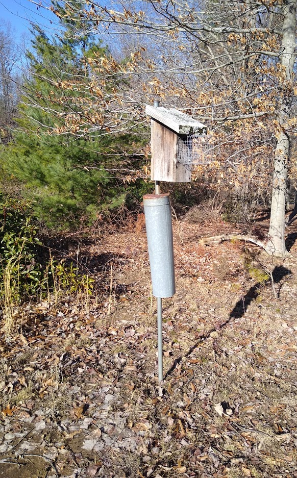 artificial nest boxes for bluebirds require barriers on poles to deter snakes