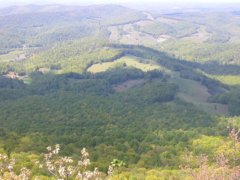 pasture and forests visible from Buffalo Mountain (Floyd County)
