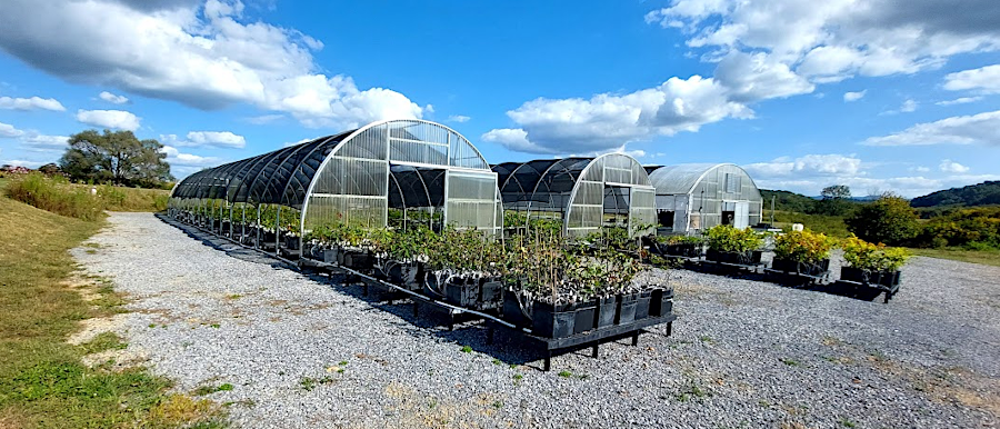 greenhouses at the Meadowview Research Farms