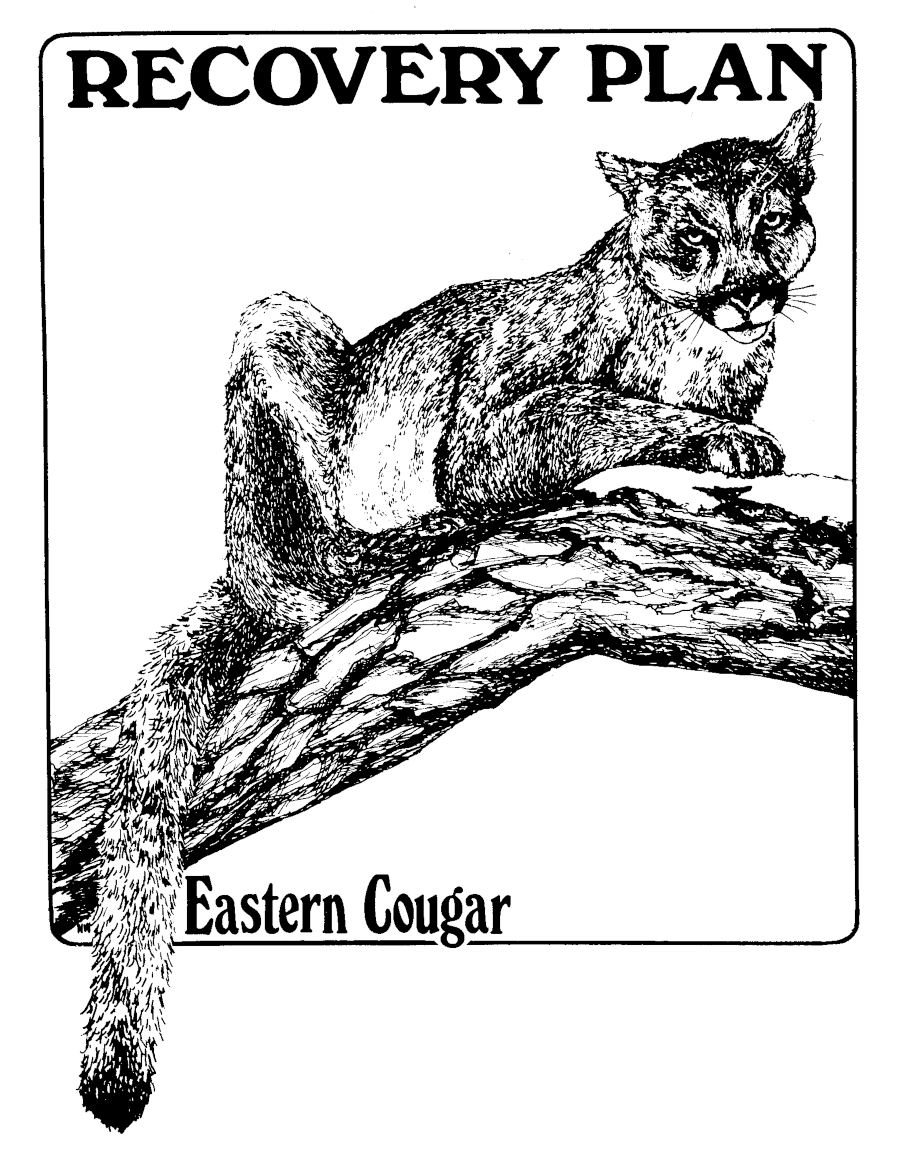 the 1982 Eastern Cougar Recovery Plan determined that three breeding populations would be necessary before the species could be delisted