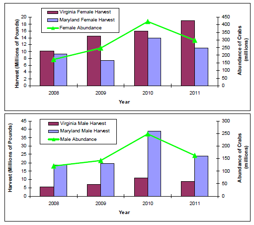 male blue crabs choose lower-saline waters away from the mouth of the bay, so Maryland watermen harvest more males than females