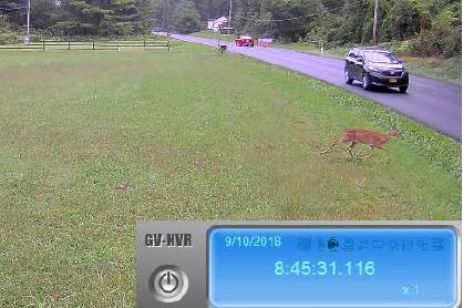 a deer detection system can trigger warning signs on a highway and get drivers to slow down