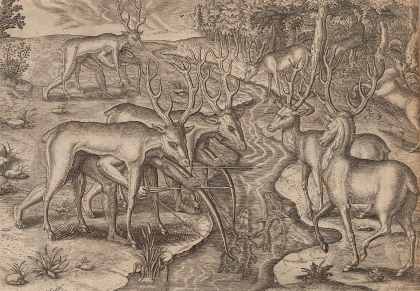 early European explorers and colonists were fascinated by reports of Native American techniques for hunting deer