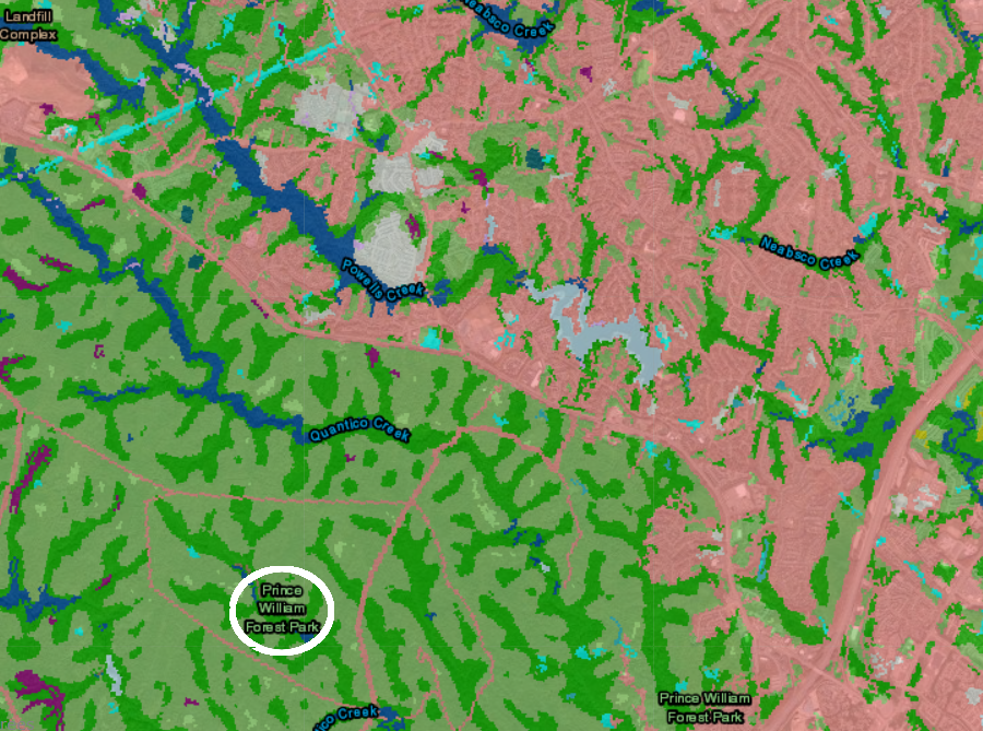Prince William Forest Park protects remaining forested habitat in Prince William County, where development of housing (pink) has transformed the landscape