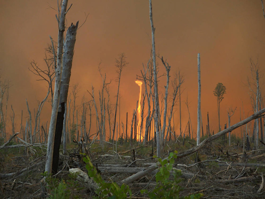 the Lateral West Fire burned at Great Dismal Swamp National Wildlife Refuge for 111 days between August-November, 2011