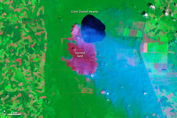 the Lateral West Fire burned at Great Dismal Swamp National Wildlife Refuge for 111 days between August-November, 2011