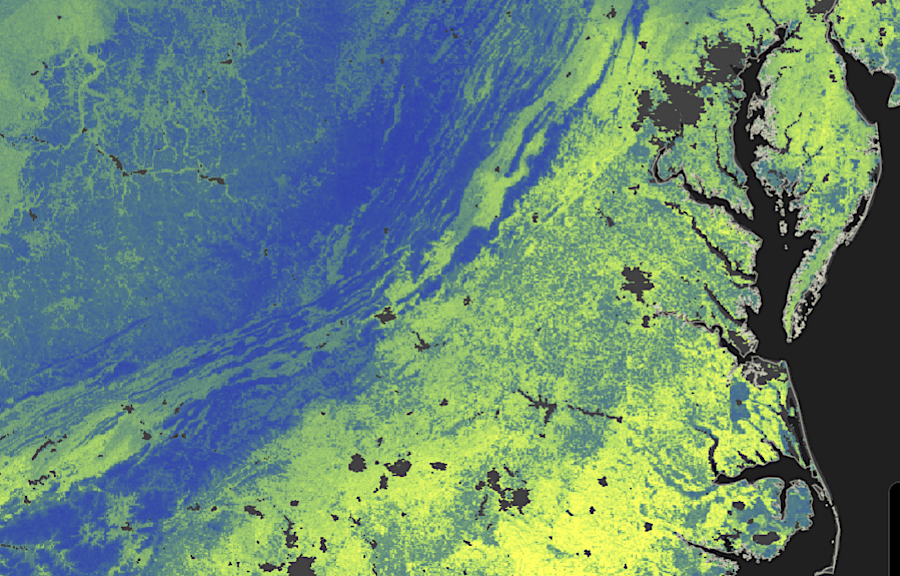 arbuscular mycorrhizal (light green) are most common in the grasslands and croplands of Virginia, while ectomycorrhizal fungi are found on the forested ridges