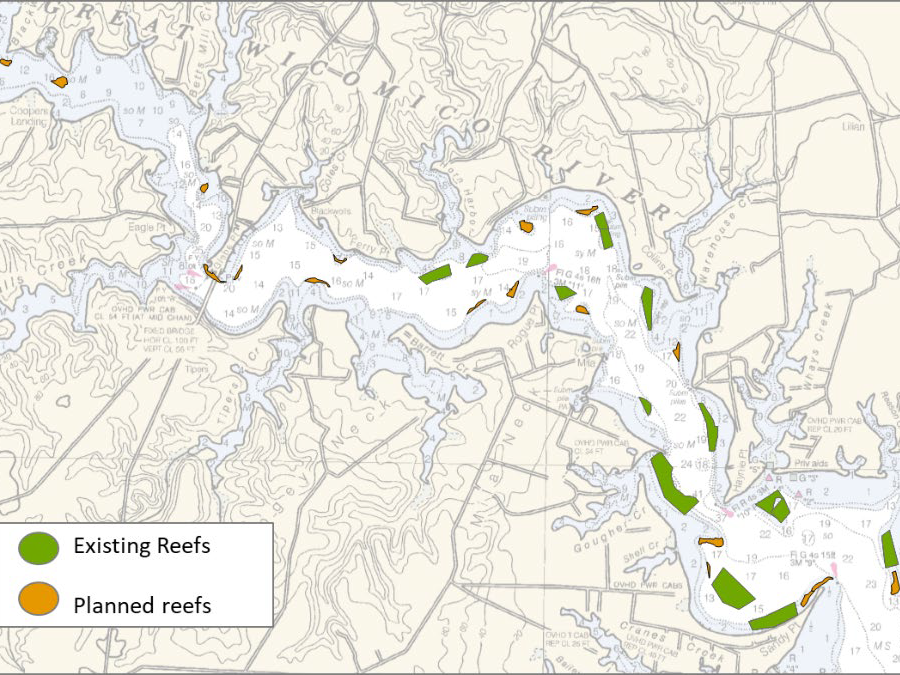 by 2020, oysters had been restored on 100 acres of the 122-acre target on the Great Wicomico River