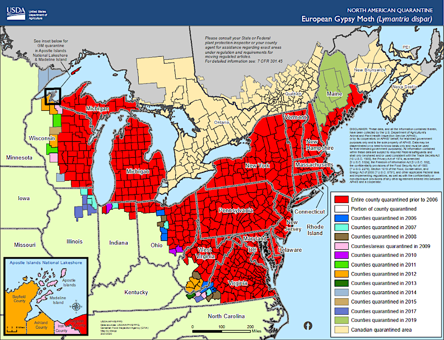 the Animal and Plant Health Inspection Service (APHIS) requires removal of spongy (formerly gypsy) moths before transporting items outside of quarantined areas