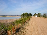 Hog Island WMA