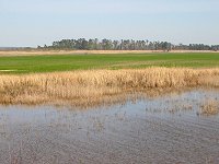 Hog Island WMA