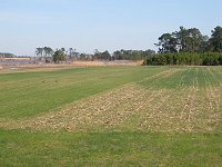 Hog Island WMA