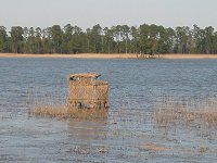 Hog Island WMA