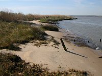 Hog Island WMA