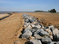 Hog Island Wildlife Management Area