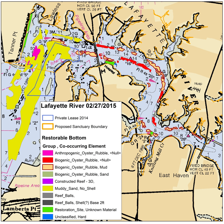 selecting restoration sites required identifying areas with a hard substrate and where sedimentation would not cover the spat