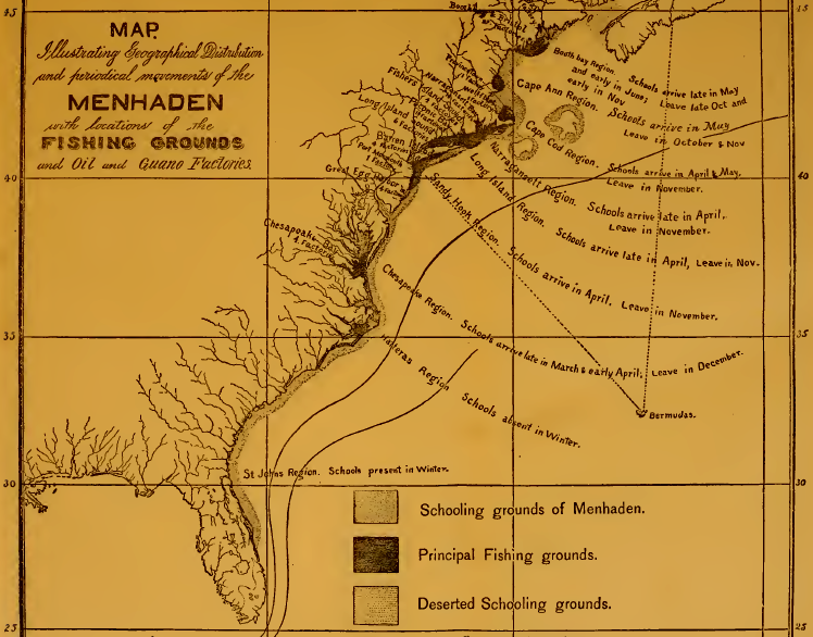 factories to reduce Atlantic menhaden to oil and protein scrap were once located along the entire coastline